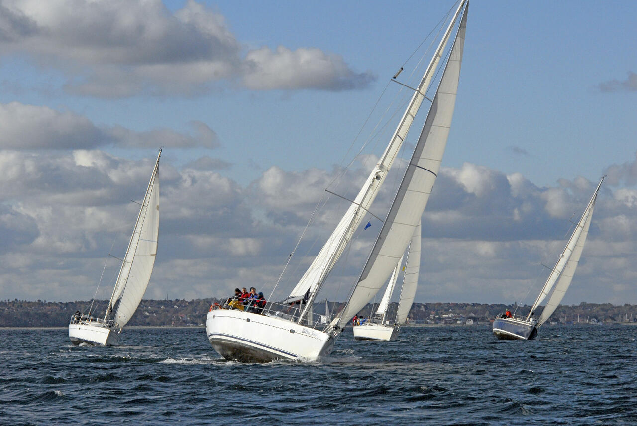 Sun Odyssey 43 — photo 8