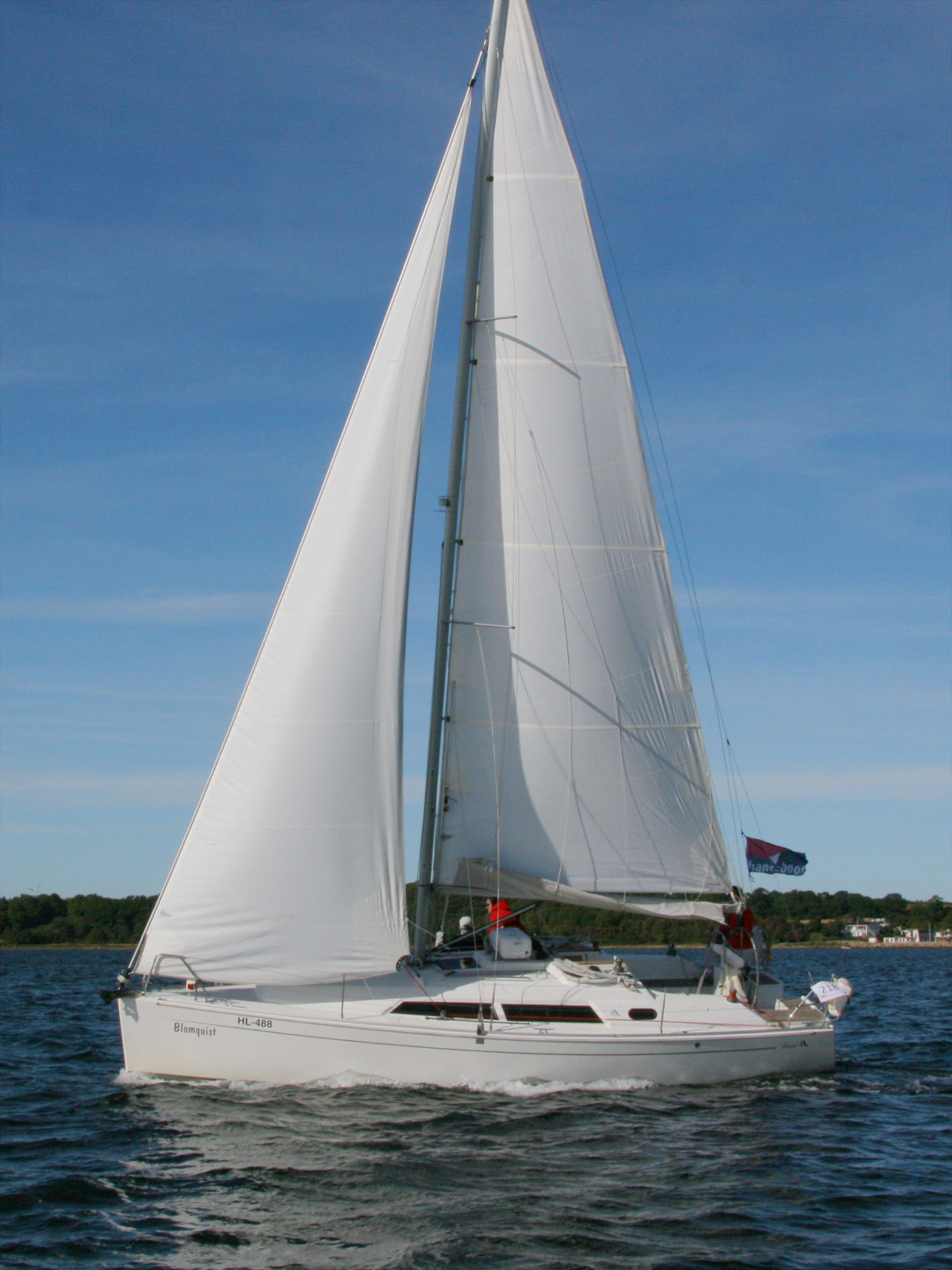 Hanse 320 — photo 8
