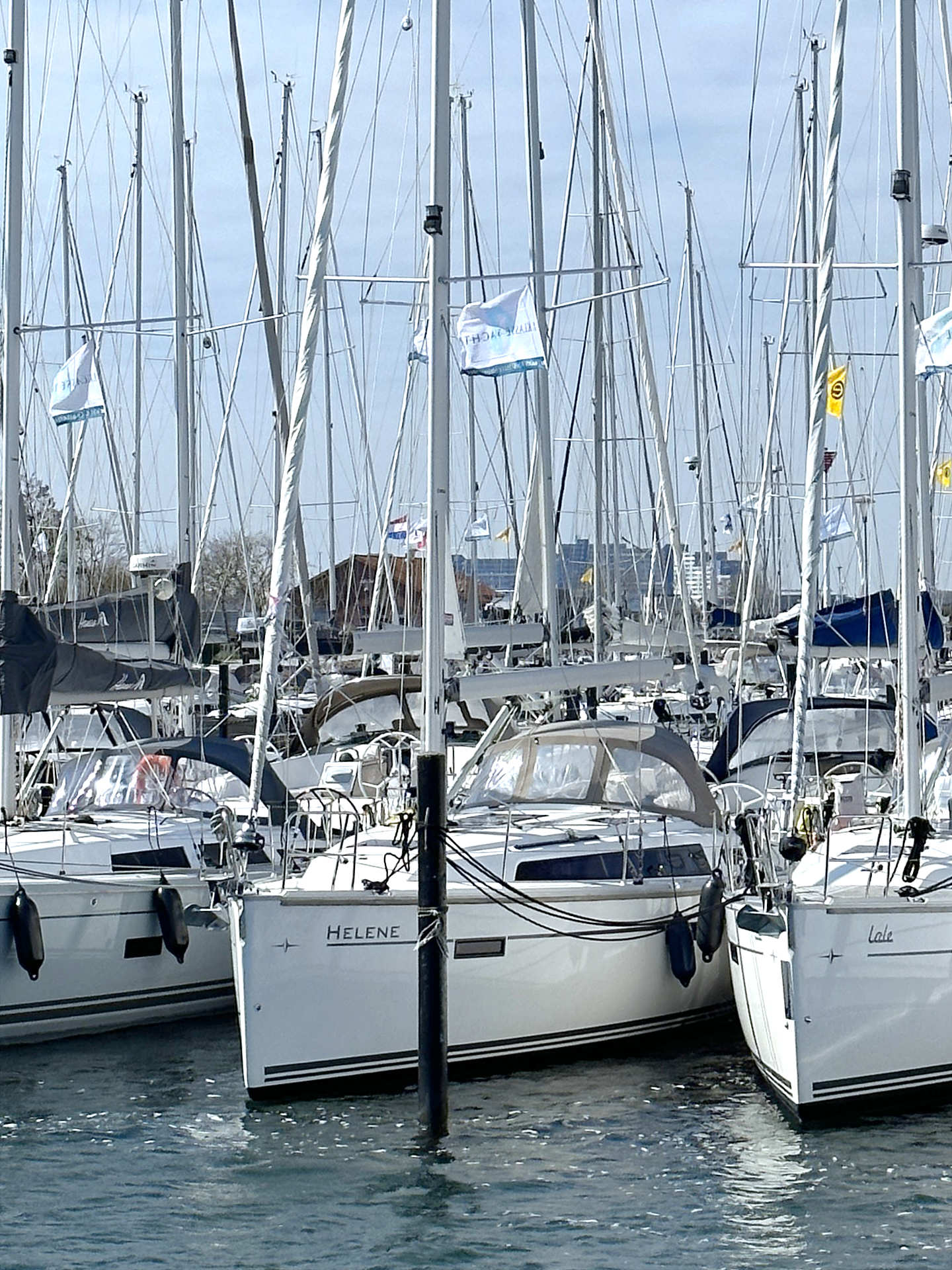 Bavaria Cruiser 37 - 3 cab. — photo 5