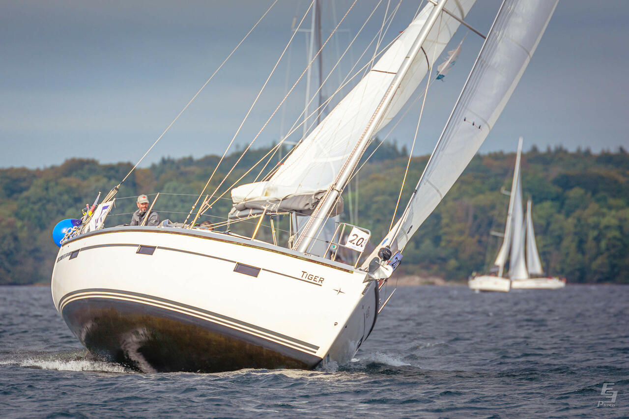 Bavaria Cruiser 37 - 3 cab. — photo 4