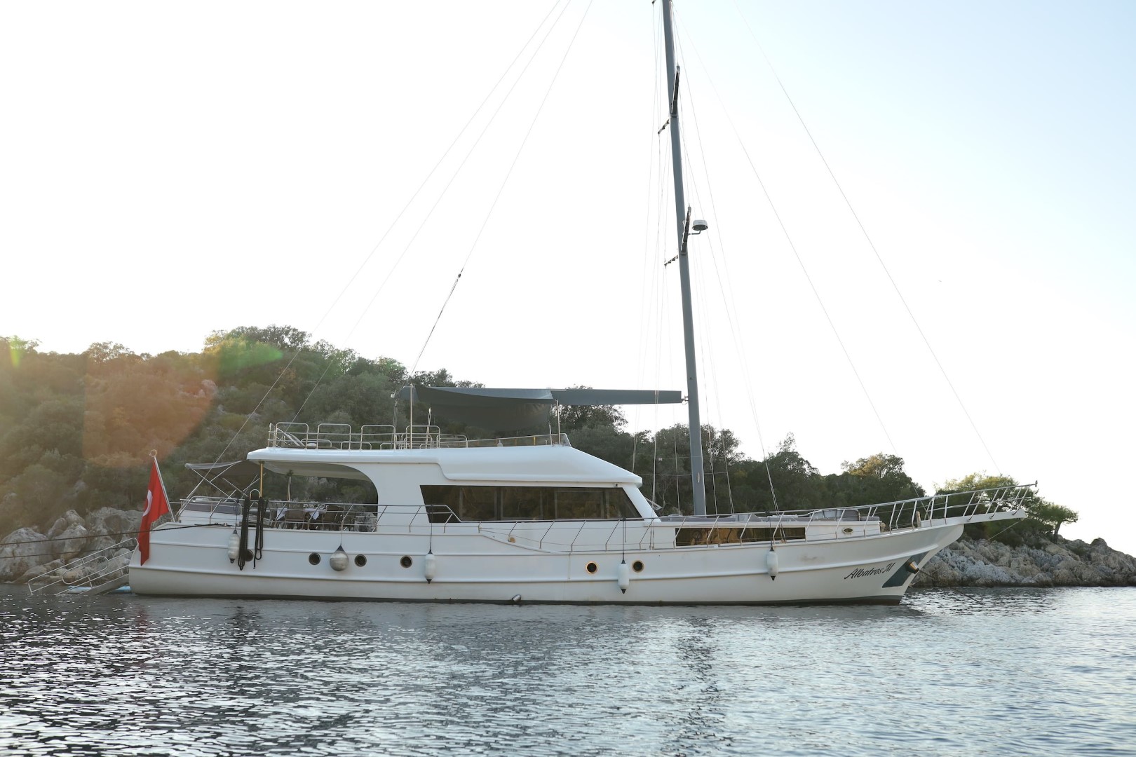Albatros M — photo 4
