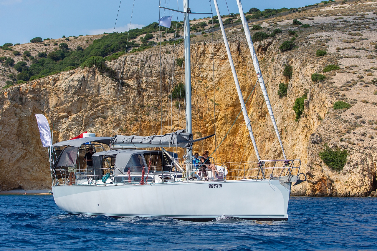 Dolphin 50 — photo 15