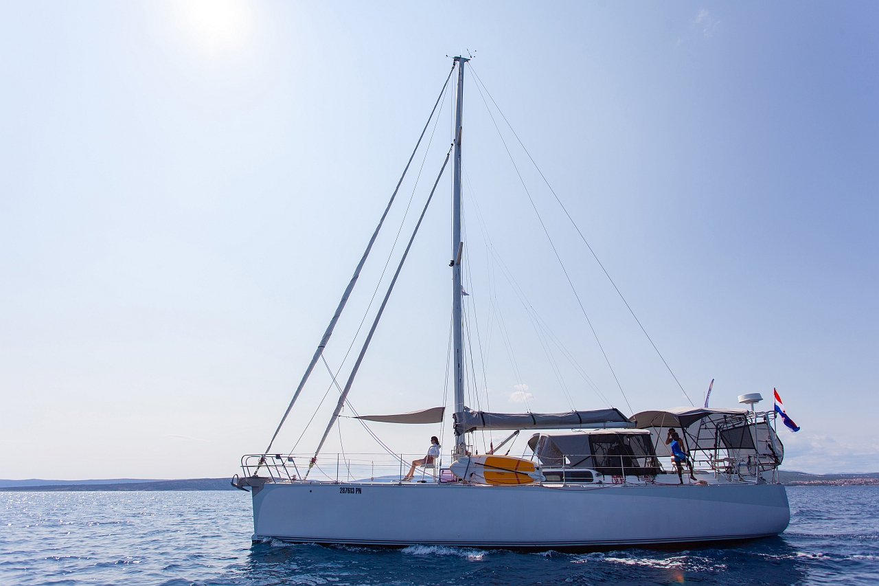 Dolphin 50 — photo 16