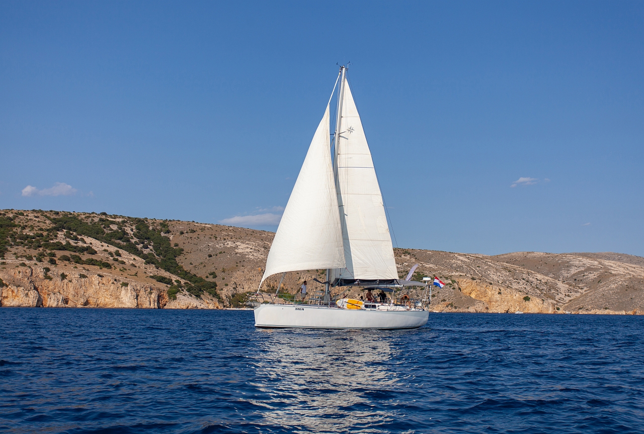 Dolphin 50 — photo 18