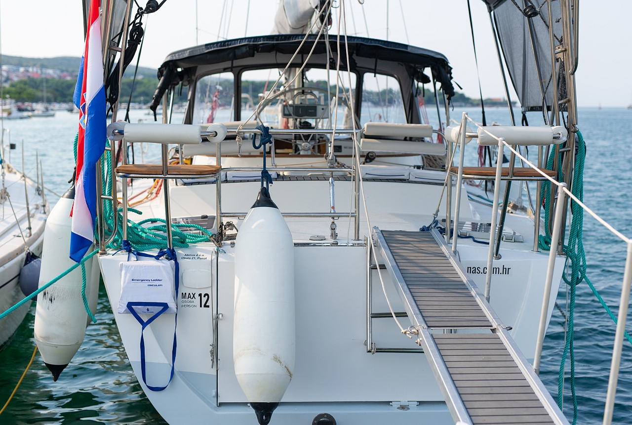 Dolphin 50 — photo 19