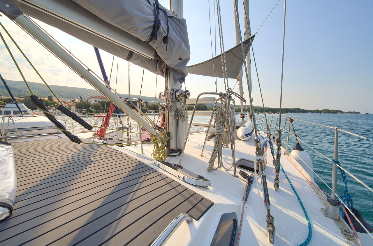 Dolphin 50 — photo 25