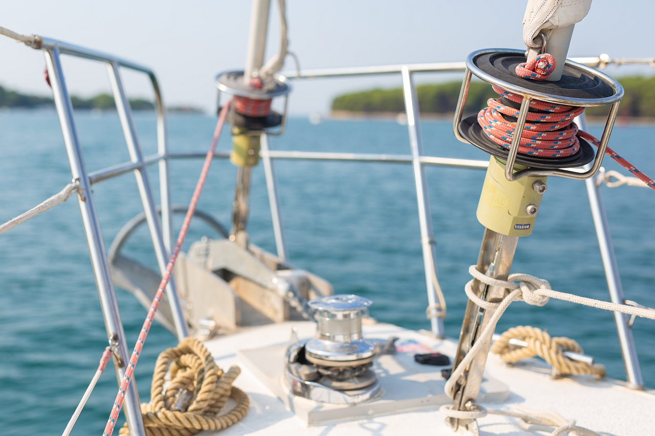 Dolphin 50 — photo 27