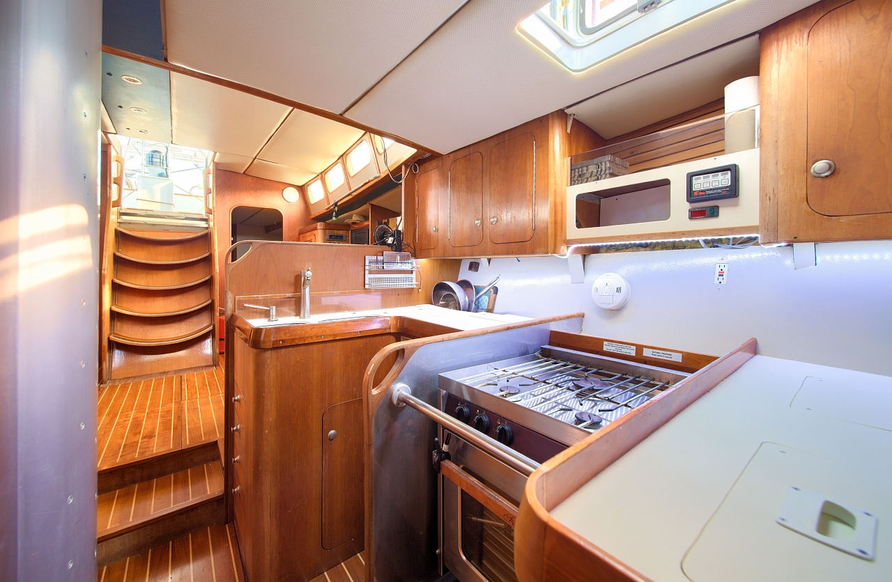 Dolphin 50 — photo 29