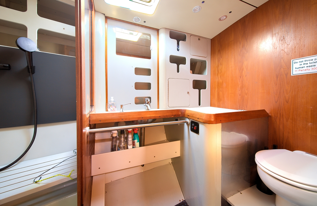 Dolphin 50 — photo 10