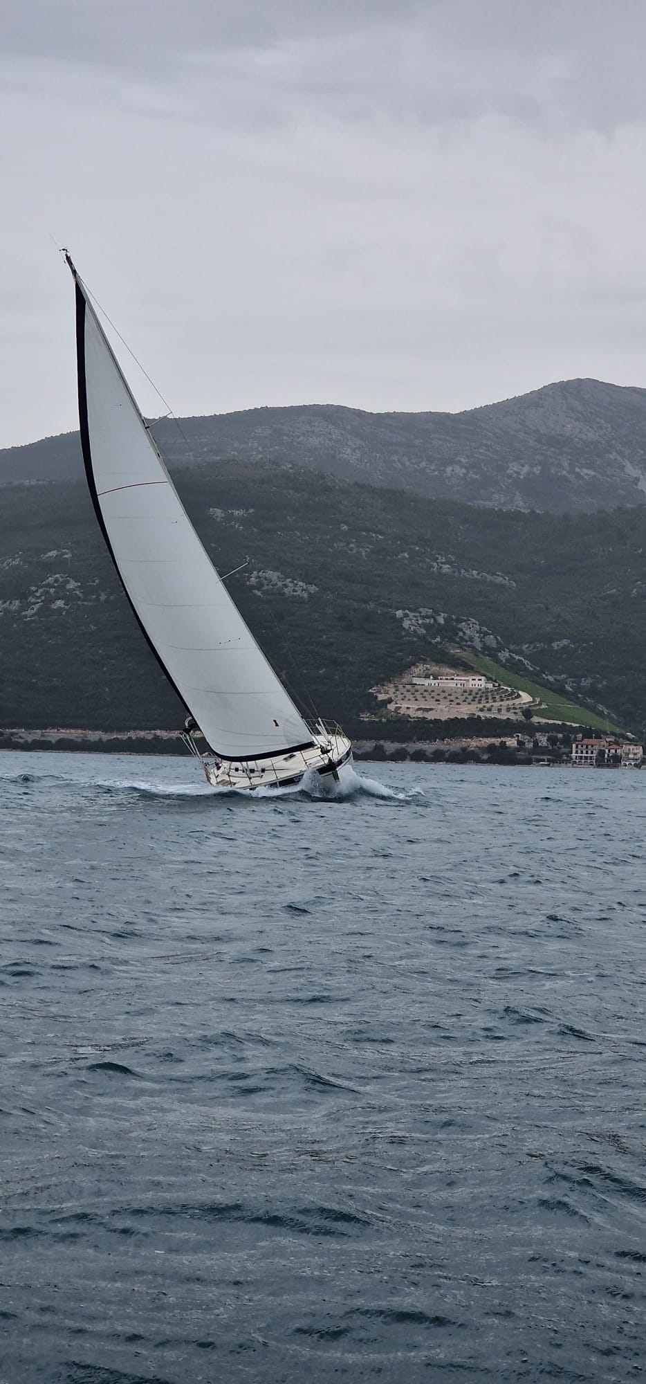 Elan 45 — photo 4