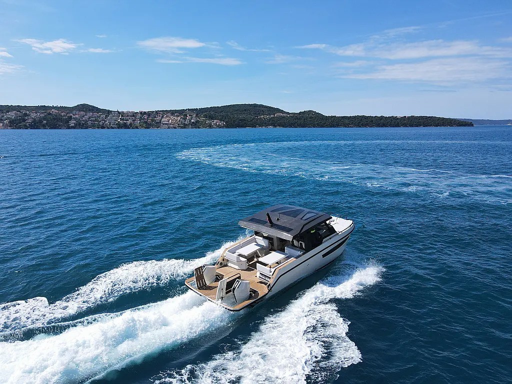 Tesoro T38 Power Cat — photo 1