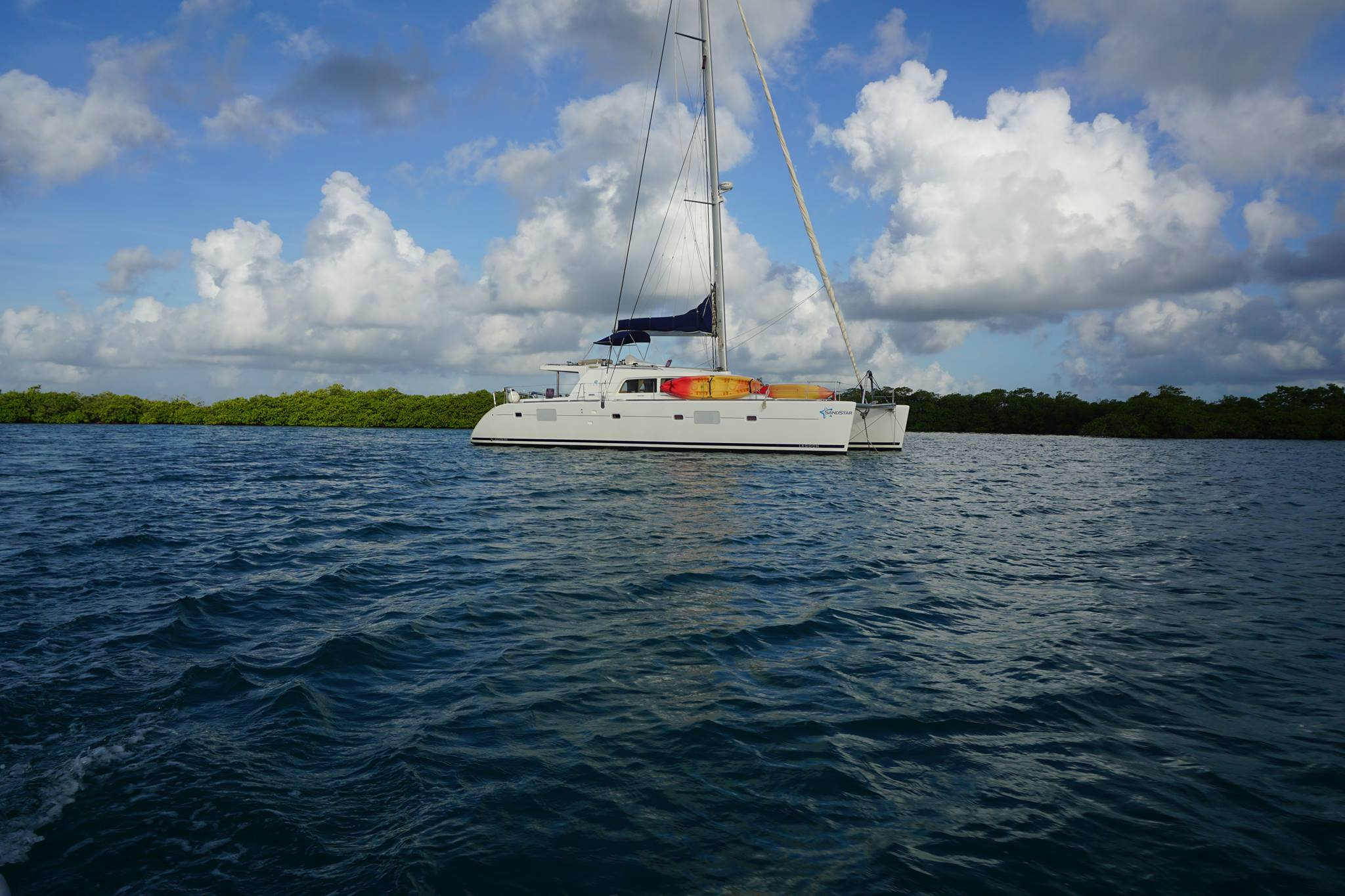 Lagoon 500 - 4 cab. — photo 1