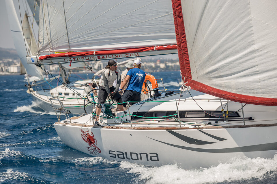 Salona 41 — photo 4