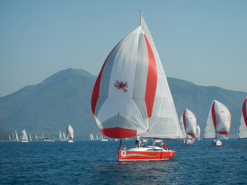 Salona 41 — photo 1