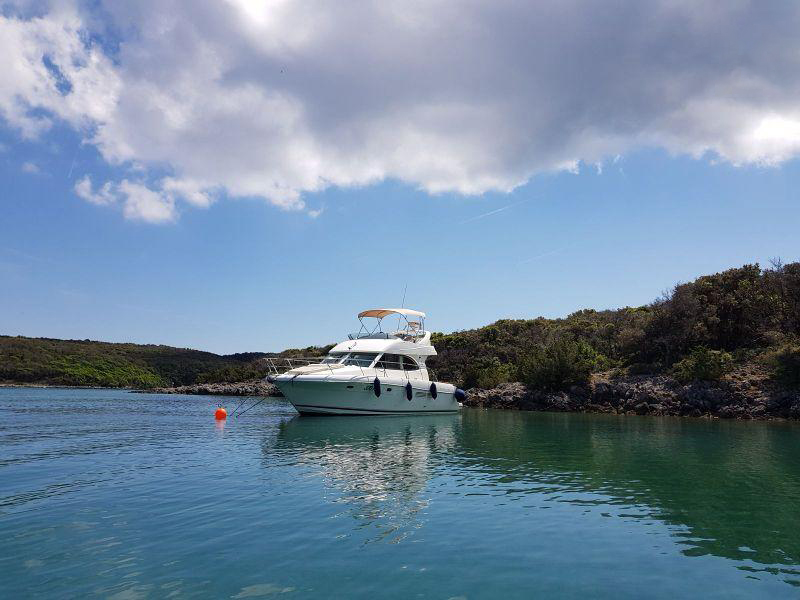 Prestige 36 Fly — photo 5