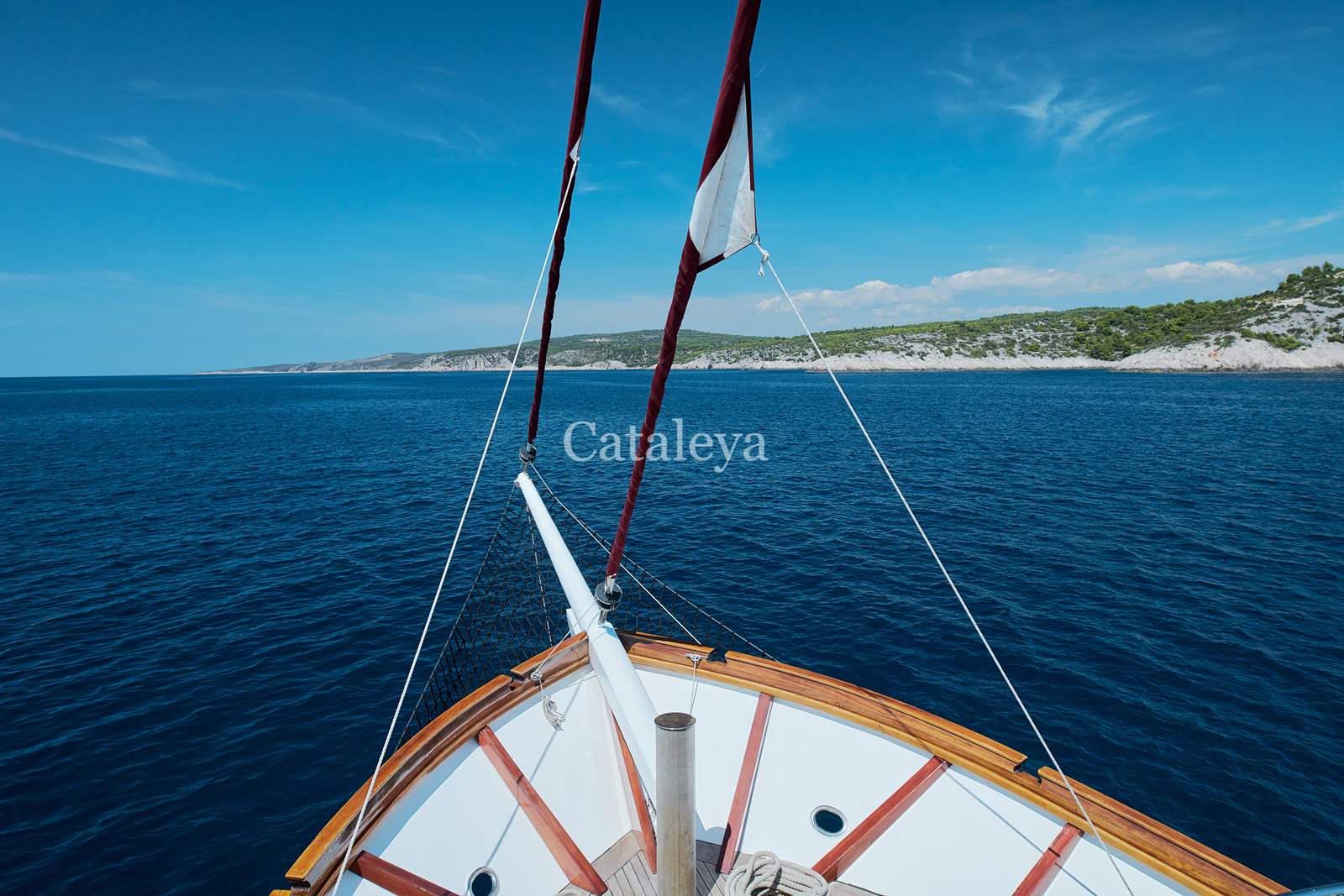 Cataleya — photo 4