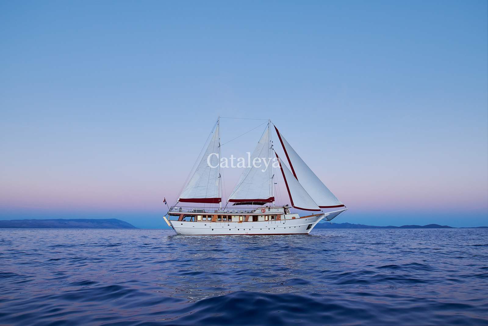 Cataleya — photo 13