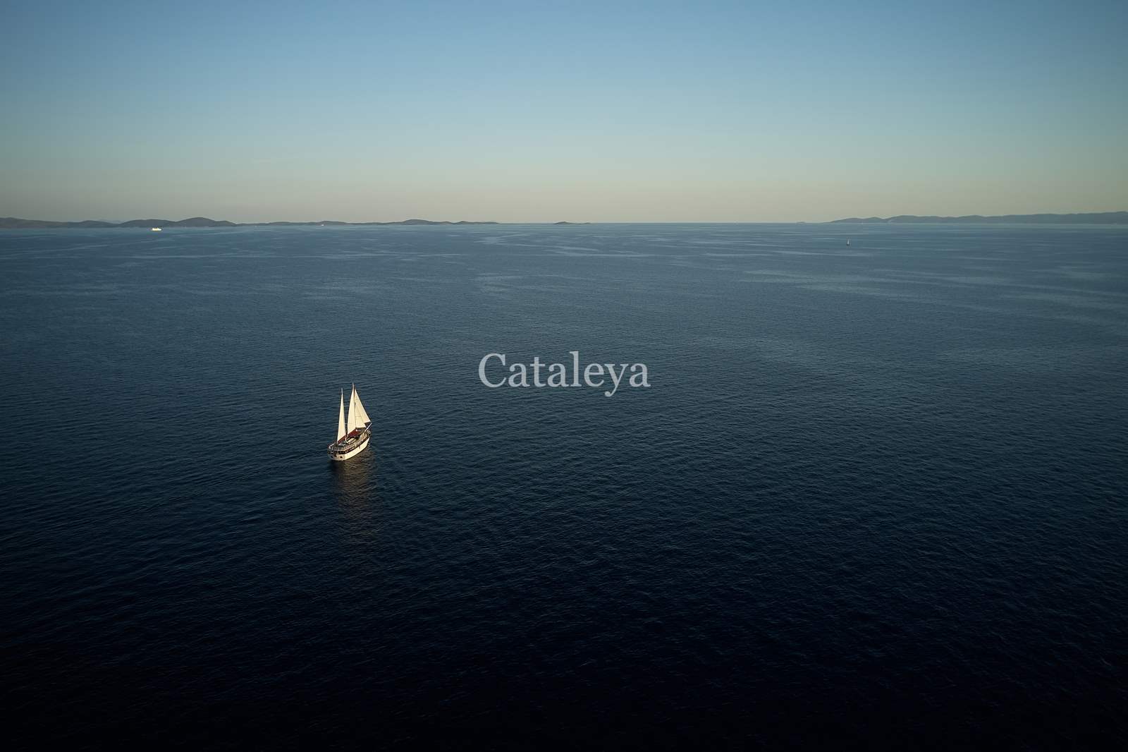 Cataleya — photo 18
