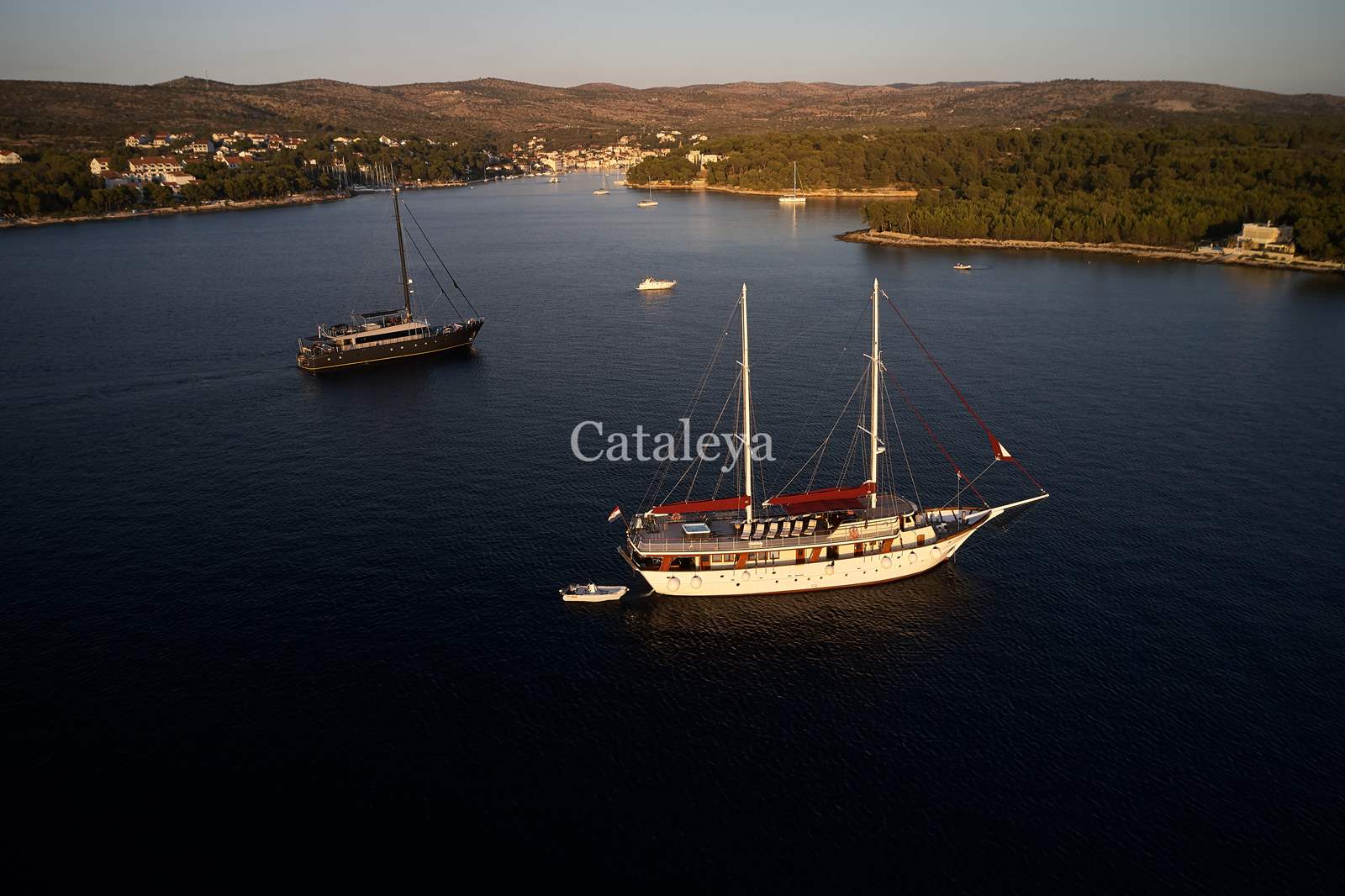 Cataleya — photo 21