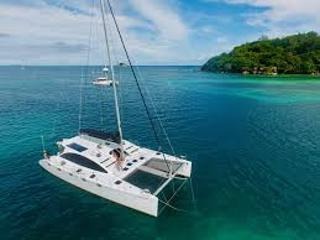 Sea-Tribe DH550 — photo 9