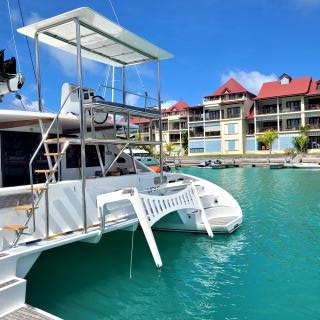 Sea-Tribe DH550 — photo 10