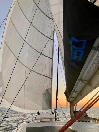 Sea-Tribe DH550 — photo 14