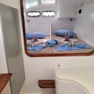 Sea-Tribe DH550 — photo 21