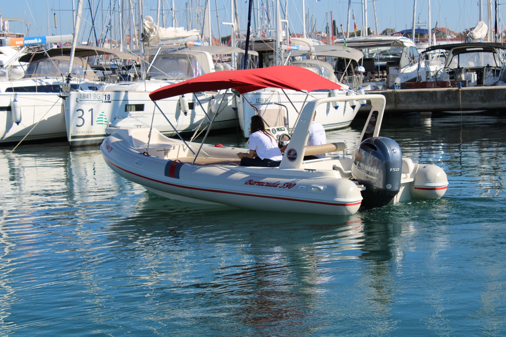 Barracuda 590 — photo 3