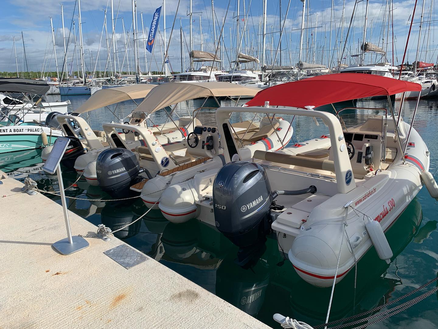 Barracuda 590 — photo 9