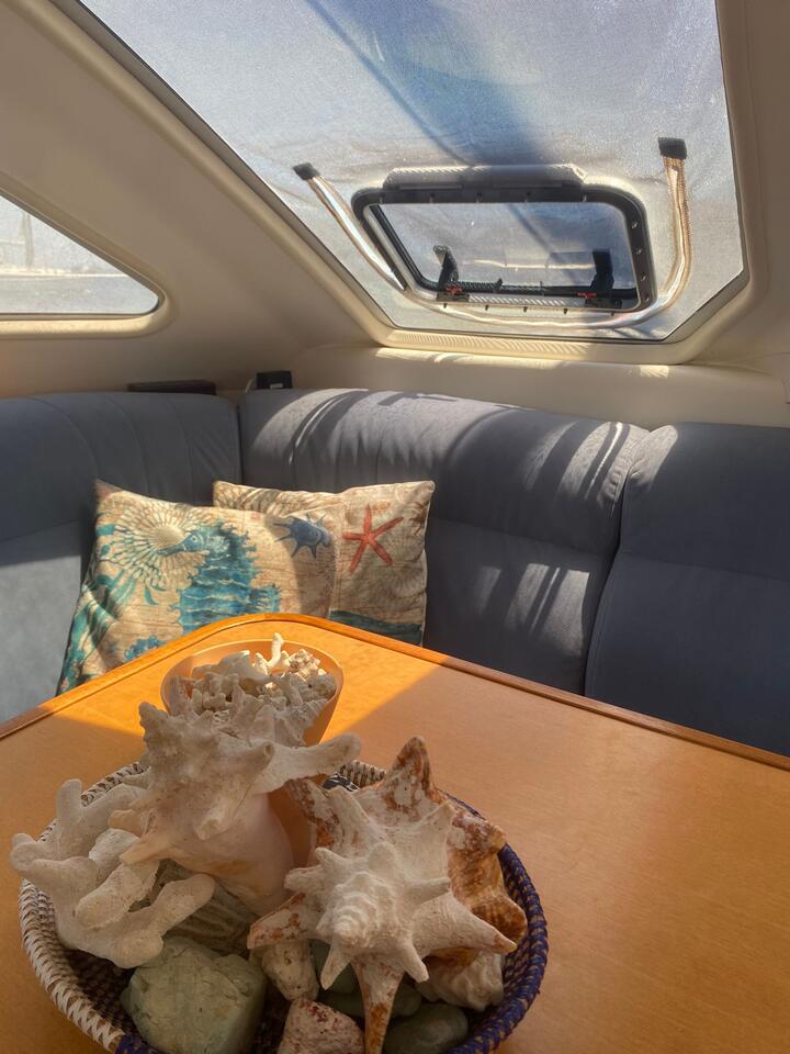 Catana 431 — photo 13