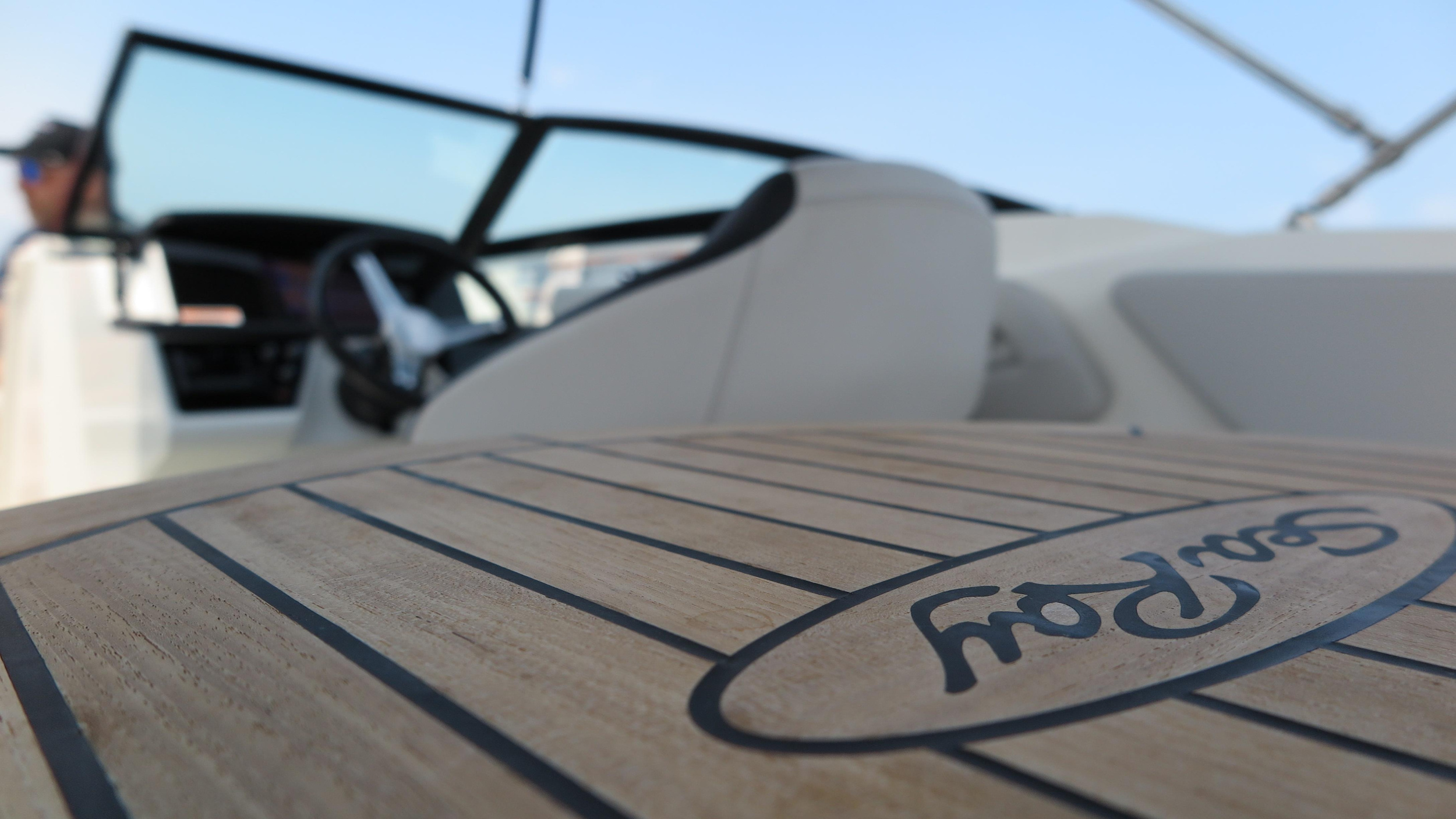 Sea Ray SPX 210 — photo 8