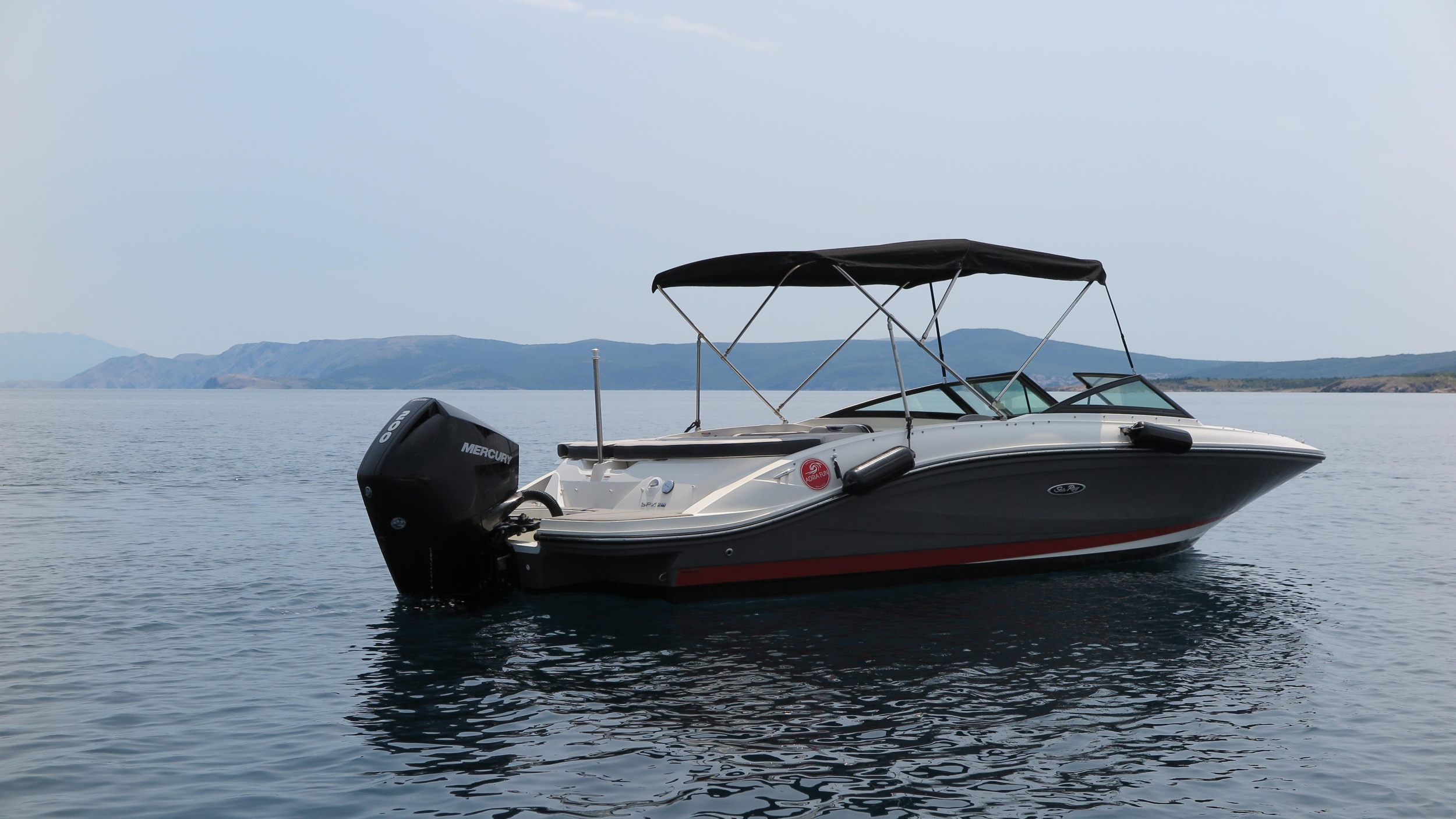 Sea Ray SPX 210 — photo 12