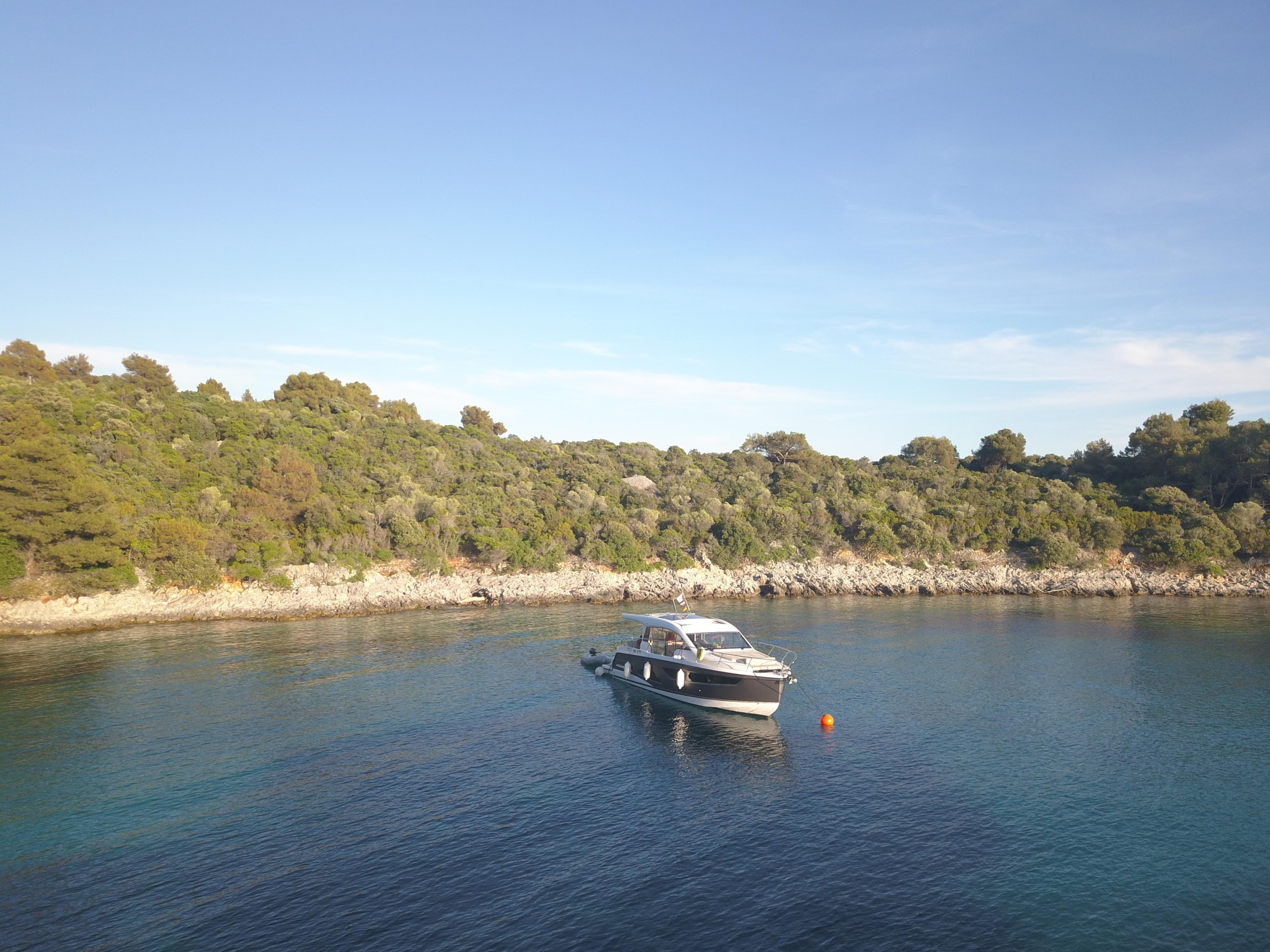 Sealine C390 — photo 4
