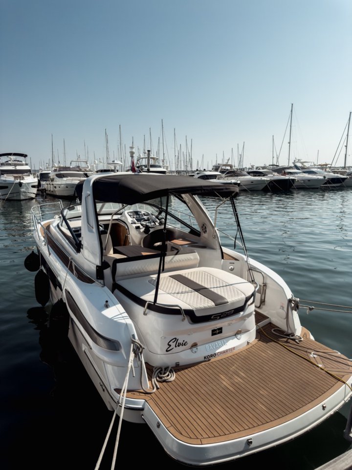 Bavaria S29 — photo 11