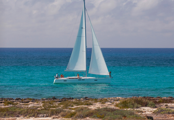 Sun Odyssey 479 - 3 cab. — photo 1