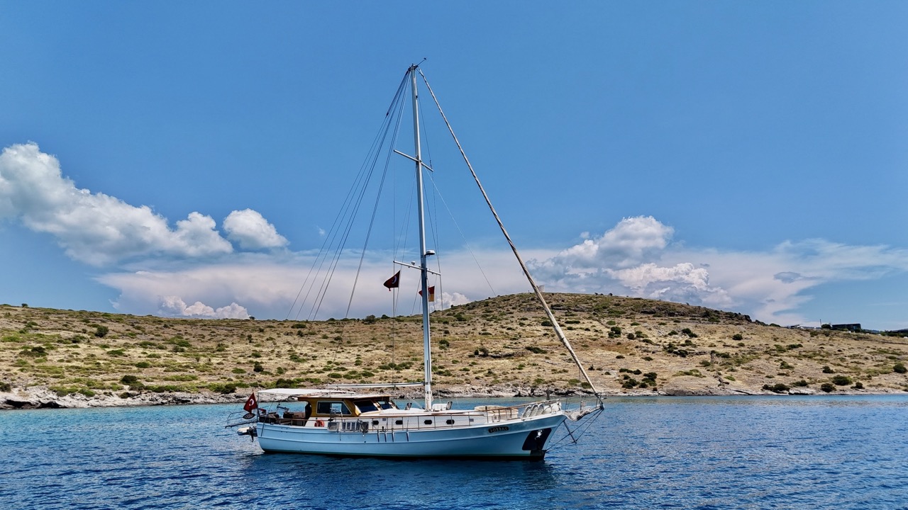 Zorbas — photo 1
