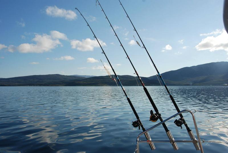 Lagoon 450 - 4 cab. — photo 7