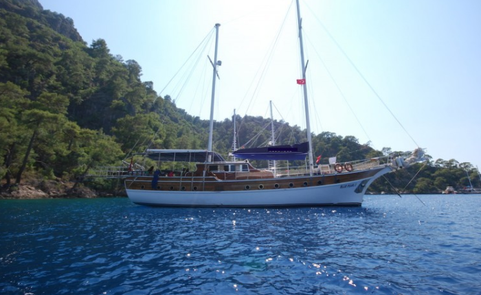 Photo #1 - 2005 (Blue Pearl) en  - 2991