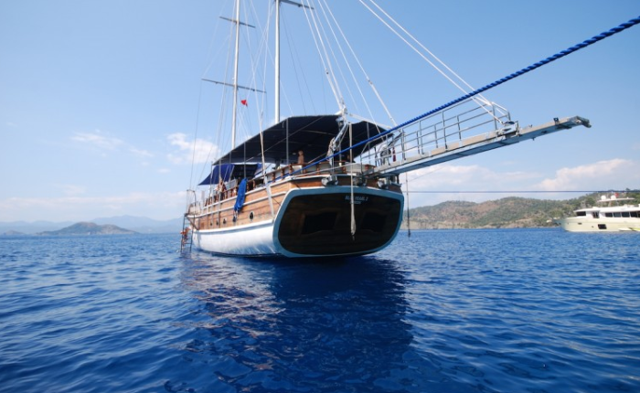 Blue Pearl - 2