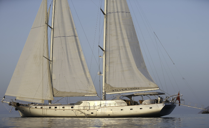 Photo #1 - 2010 (Silver Moon) en  - 2998