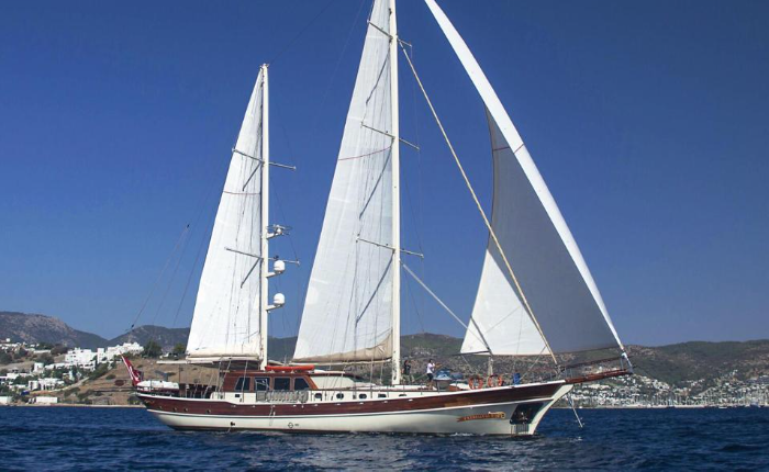 Estrella del Mare - 1