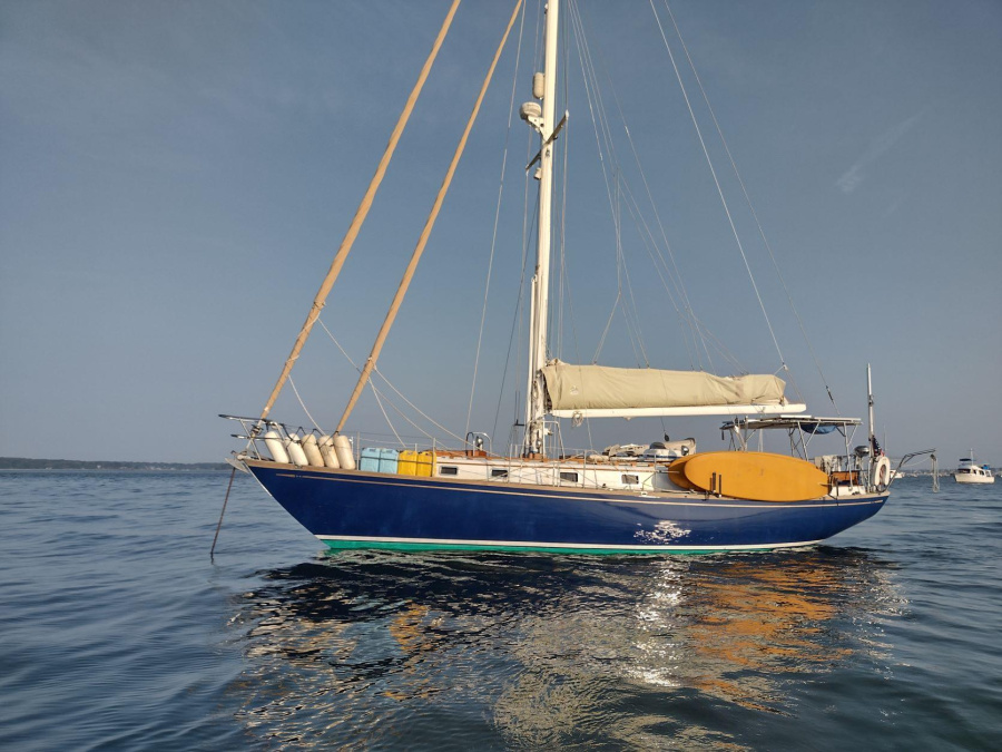 Photo #1 - Mason (Moxie) en Abacos - 3102