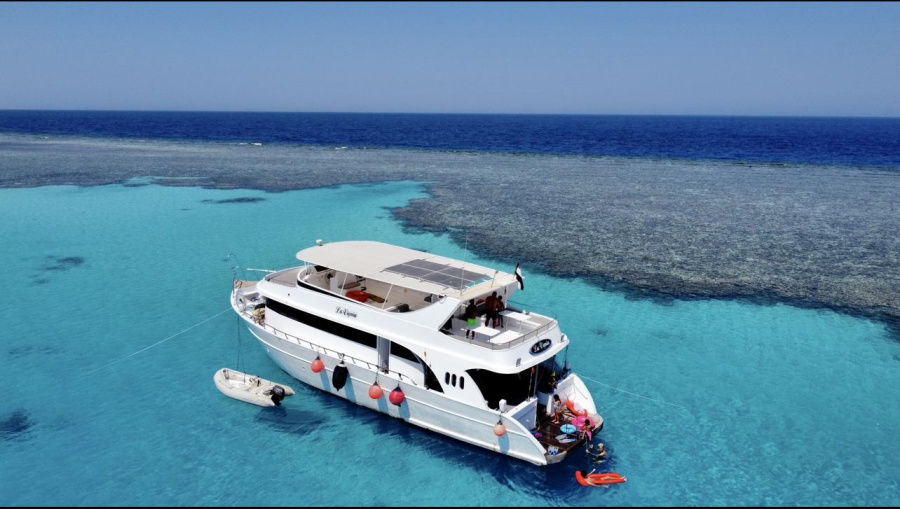 Lavignia Cruise - 0