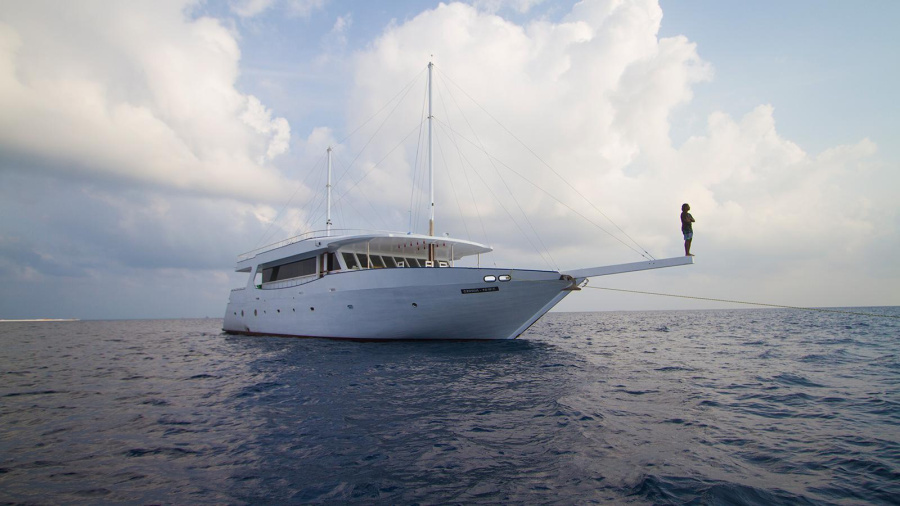 Photo #1 - Dhoni (Sea Farer) en port - 3417