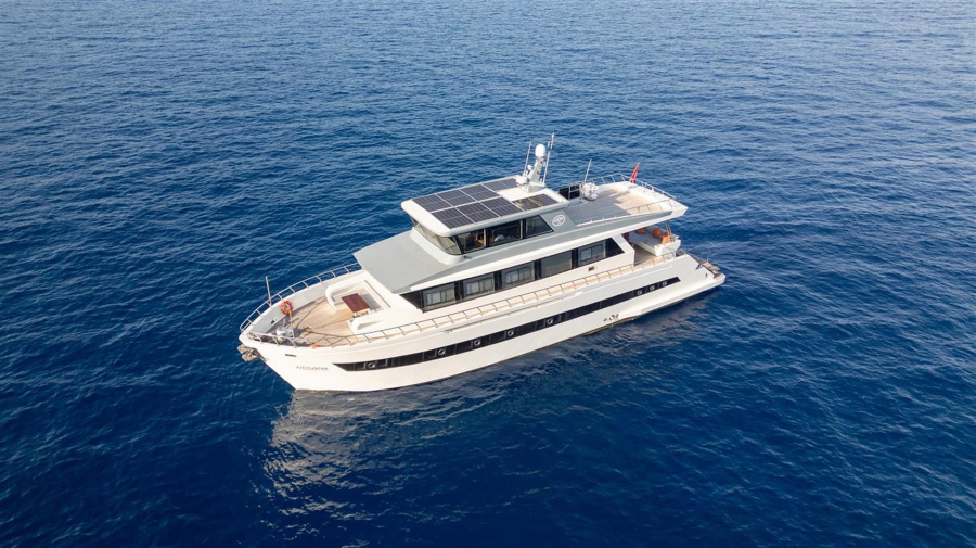 Photo #1 - Trawler (Alessandro) en  - 61543
