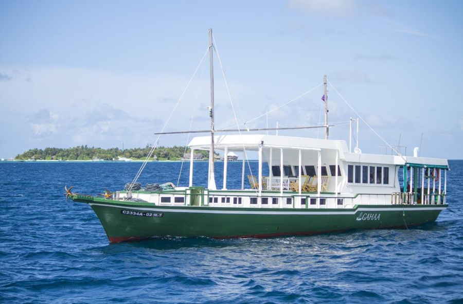 Photo #1 - Custom built (Gahaa) en port - 66226