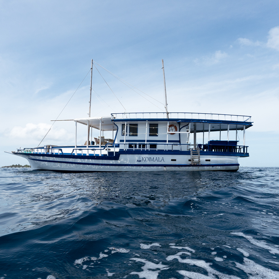 Photo #1 - Custom built (Koimala) en port - 66227