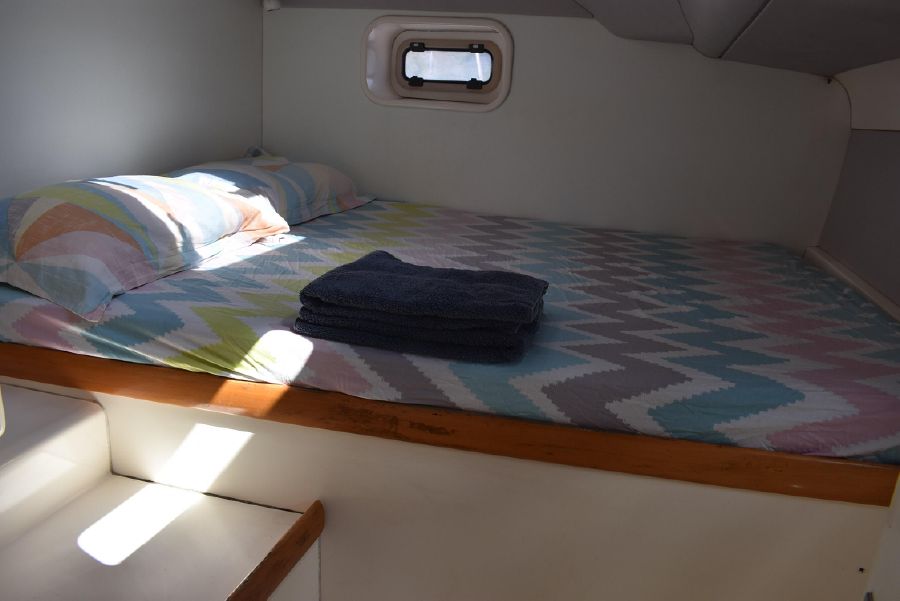 Leopard 38 — photo 16