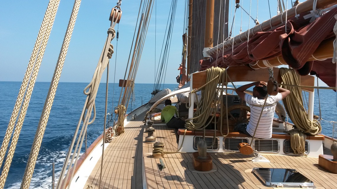 Schooner — photo 5