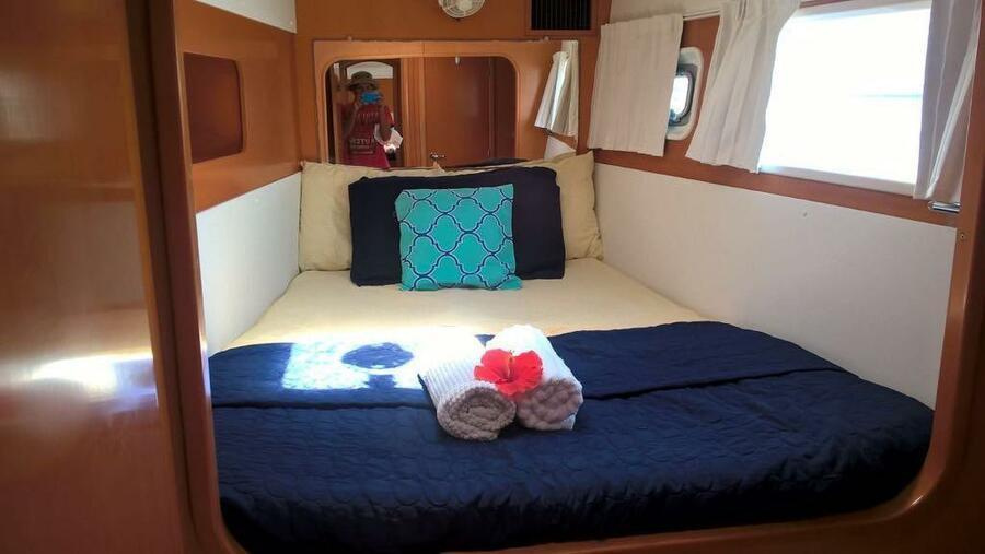 LAGOON 380 (4 CAB) - 2018 — photo 321